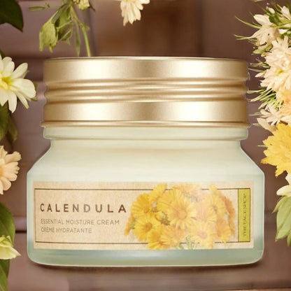 [TheFaceShop] Calendula Essental Moisture Cream 50ml