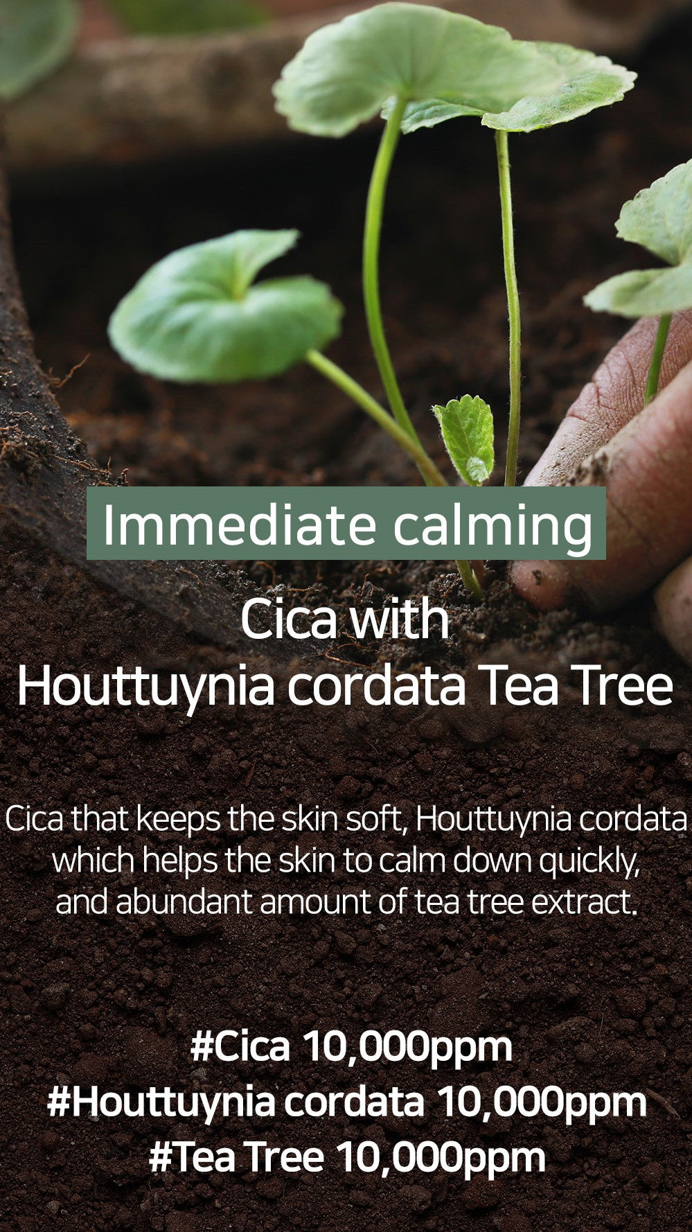 [MARY&MAY] Cica Houttuynia Cordata Tea Tree Calming Mask Pack - 30 sheets