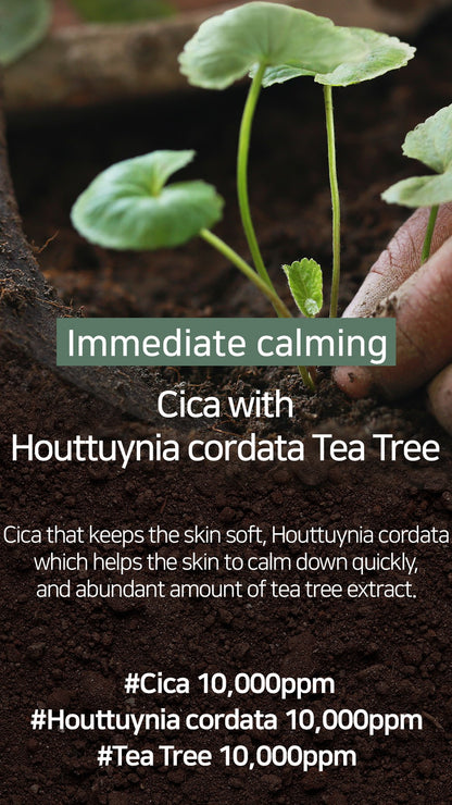 [MARY&MAY] Cica Houttuynia Cordata Tea Tree Calming Mask Pack - 30 sheets