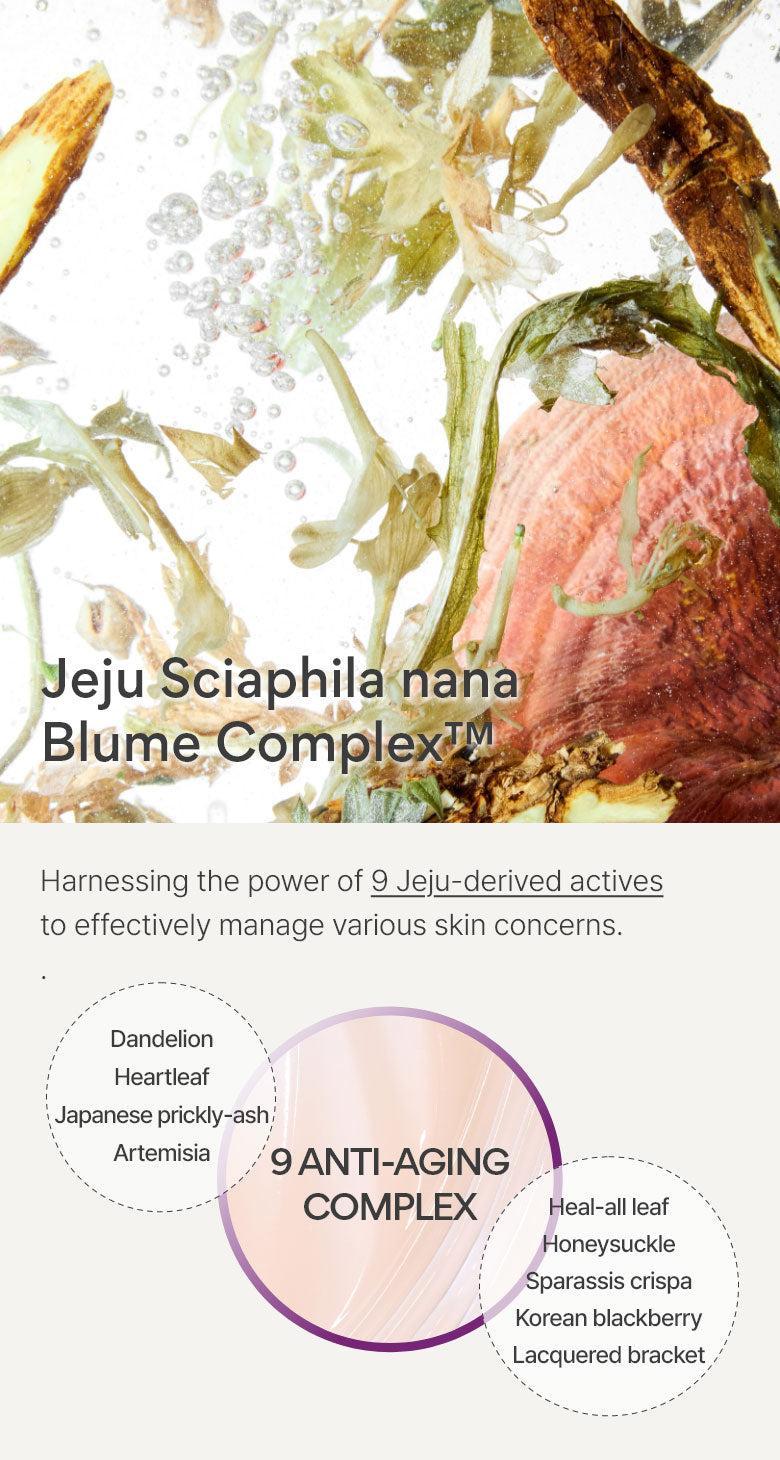 [innisfree] Perfect 9 Intensive Skin 200ml