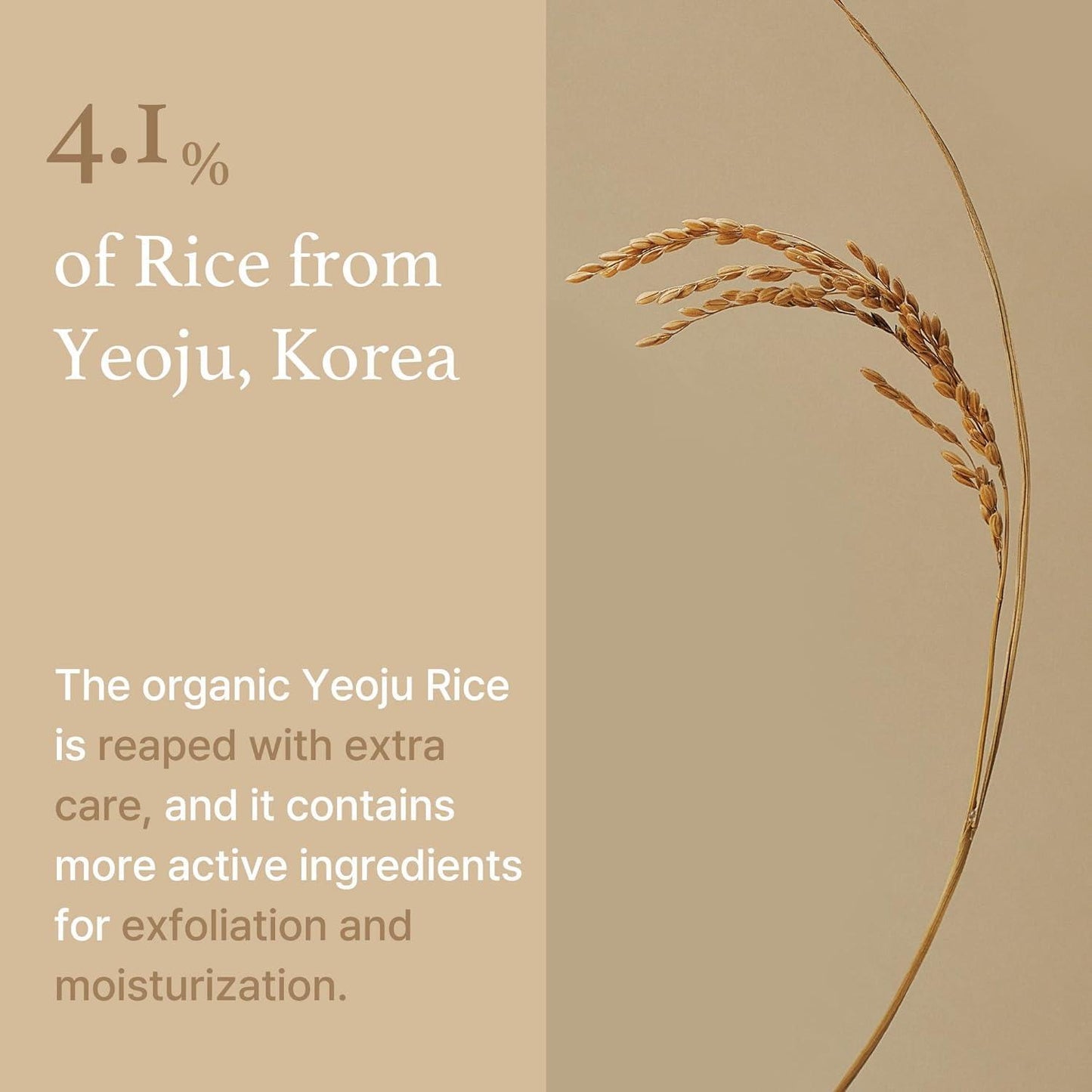 [ImFrom] Rice Mask 110g