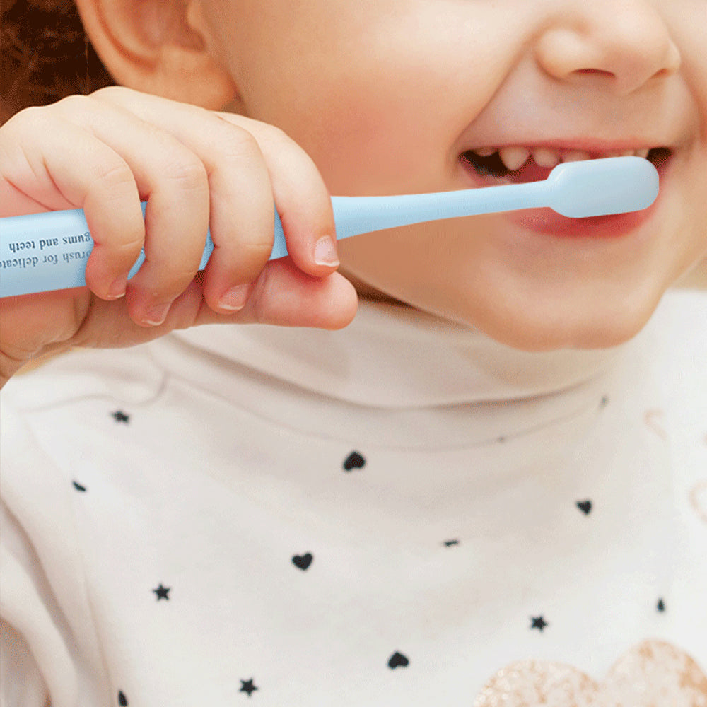 [PyunkangYul] Mild Toothpaste (Blueberry) 60g*2